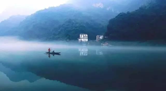 细胞分裂5