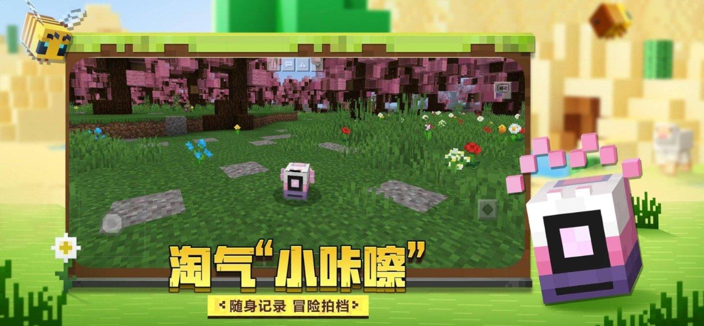 美妙森林找不同