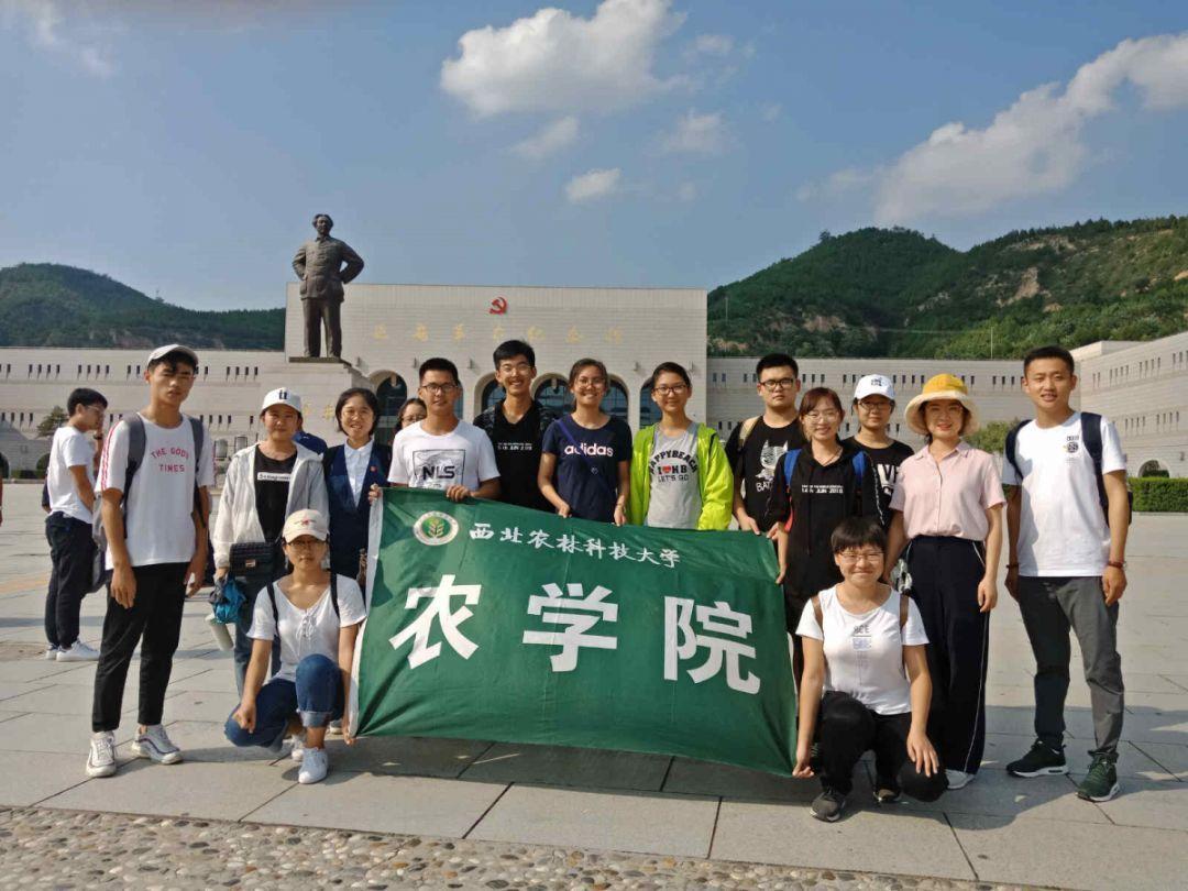 组装机械盔头龙2